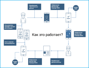 Схема работы KYC.Legal